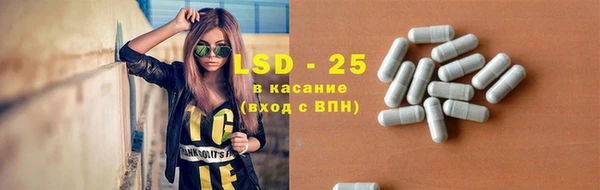 шишки Абаза