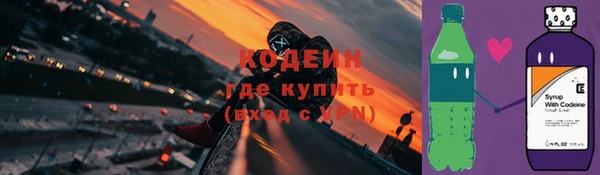 мяу мяу мука Великий Новгород