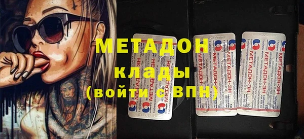 шишки Абаза