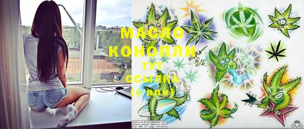 шишки Абаза
