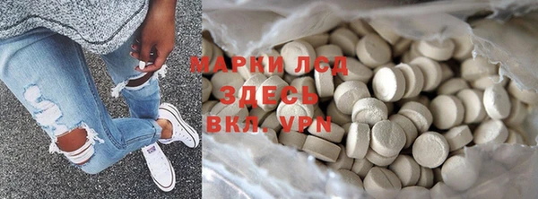 шишки Абаза