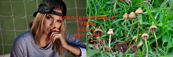 винт Ельня